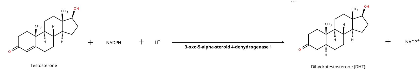 5α-還元酵素