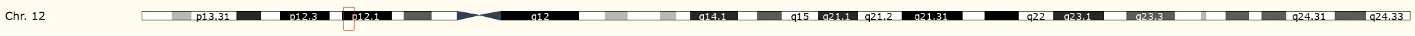 ABCC9（ATP-binding cassette, sub-family C (CFTR/MRP), member 9）