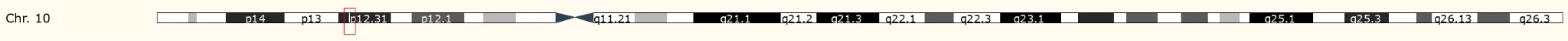 CACNB2（Calcium voltage-gated channel auxiliary subunit beta 2）