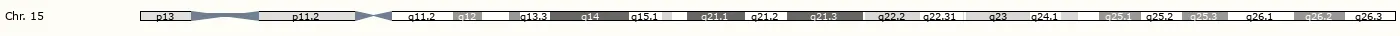 HCN4（Hyperpolarization activated cyclic nucleotide gated potassium channel 4）
