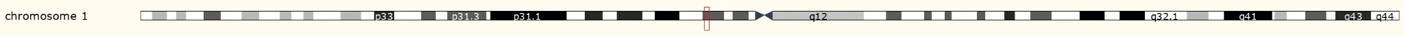 KCND3（Potassium voltage-gated channel subfamily D member 3）