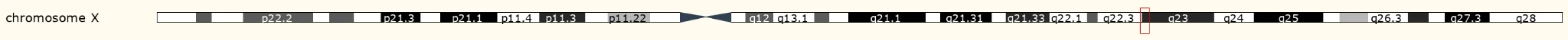 KCNE5（Potassium voltage-gated channel subfamily E regulatory subunit 5）