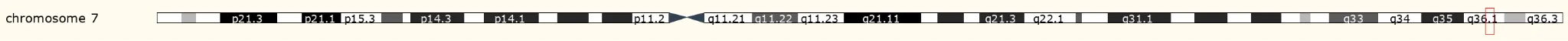 KCNH2（potassium voltage-gated channel subfamily H member 2）
