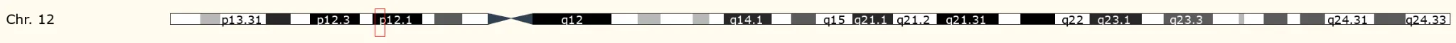KCNJ8（potassium inwardly rectifying channel subfamily J member 8）