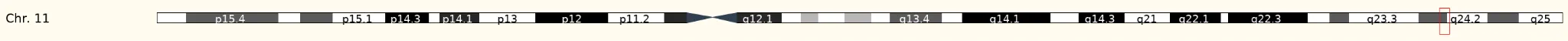 SCN3B（sodium voltage-gated channel beta subunit 3）